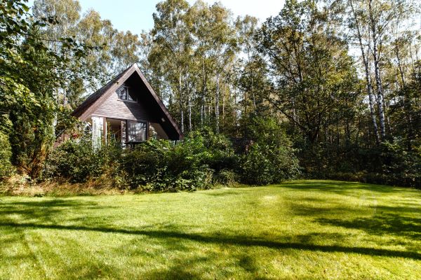 Elena_Krämer_Fotografie_Ferienhaus_Heidetraum Waldhaus Heidetraum